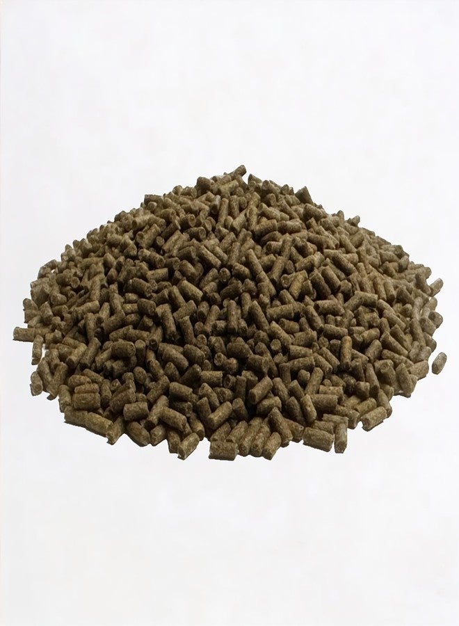 Wpc-Co. Freshwater Shrimp Food | Cherry Shrimp Food | Ghost Shrimp Food | Aquarium Shrimp Food | Shrimp Food Aquarium Freshwater Neocaridina Shrimp Food Pellets | 1.5oz - Image 4